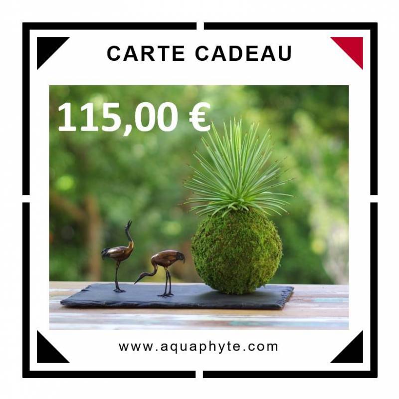 Carte Cadeau Aquaphyte 115 euros