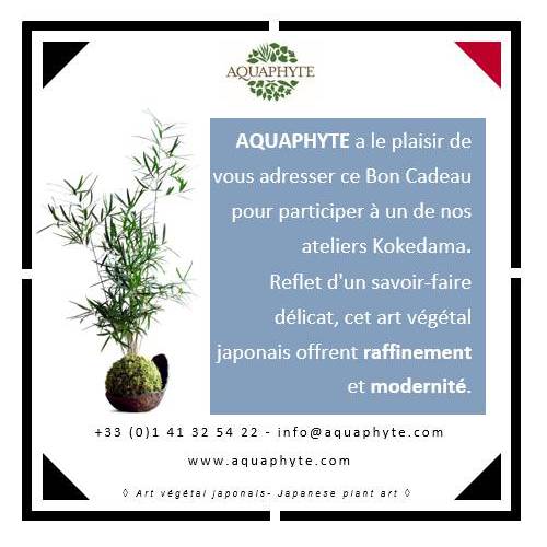 Carte Cadeau Atelier Kokedama