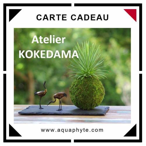 Carte Cadeau Atelier Kokedama