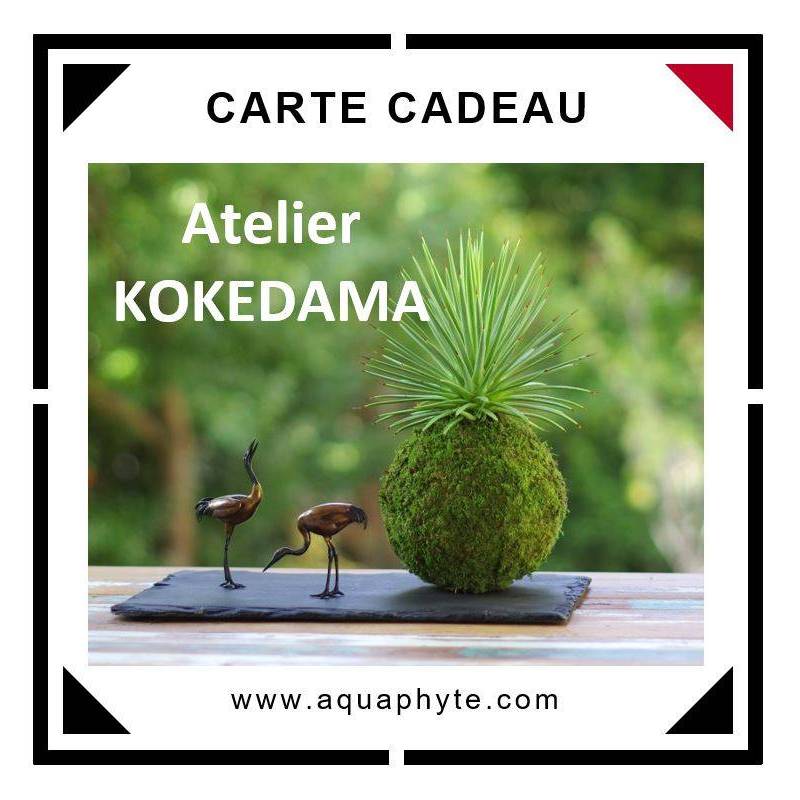 Carte Cadeau Atelier Kokedama