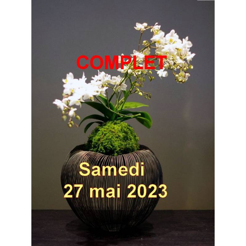 Atelier Kokedama