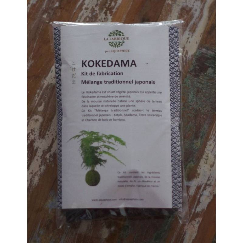 Kit Kokedama