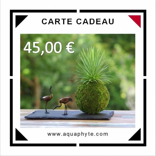 Carte Cadeau Aquaphyte 45 euros